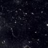 Nero Marquina