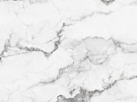 Blue Veins Printed Quartz