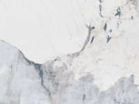Antico White Printed Quartz