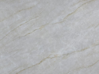 Taj Mahal Printed Quartz