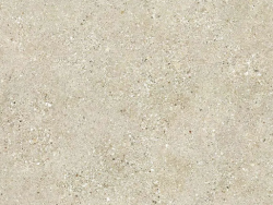 Neolith Shilin