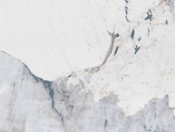 Antico White Printed Quartz