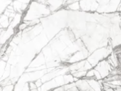 Invisible White 