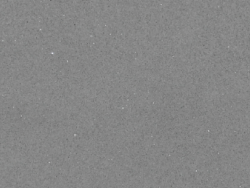 Grigio Starlight
