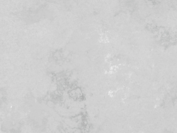 Nile Stone Concrete Oyster