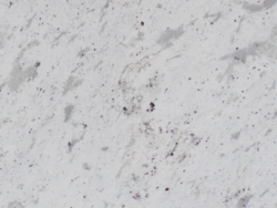 Nile Stone Andromeda White Granite