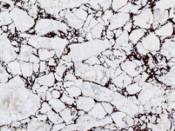 Noblestone Calacatta Viola