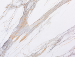 Noblestone Calacatta Barcelona 