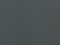 Bloomstone Iron Grey