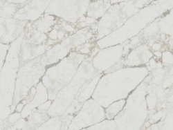 Global Calacatta Brown