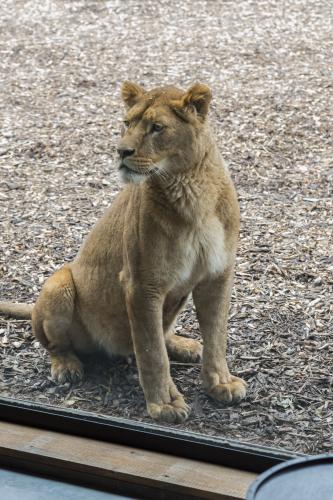 Granite Worktops Kent